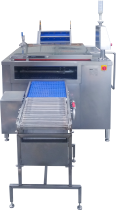 LINES FOR FOOD PRODUCTS - CAPACITY 200 KG/H